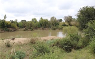 4.8 ha Farm in Kroonstad