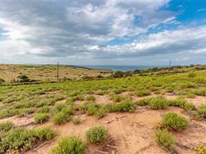 1180 m² Land available in Zululami Luxury Coastal Estate