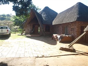 8 ha Farm with House in Peacevale