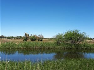 1182 ha Farm in Brandfort
