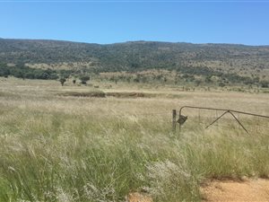 28.3 ha Land available in Hekpoort