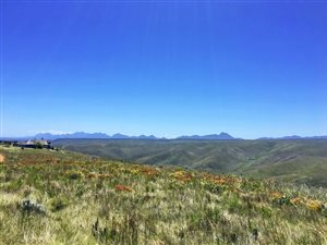 300 m² Land available in Gondwana Game Reserve