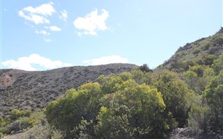 1 ha Farm in Ladismith