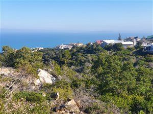 868 m² Land available in Dana Bay