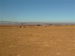 625 ha Farm in Middelburg Central