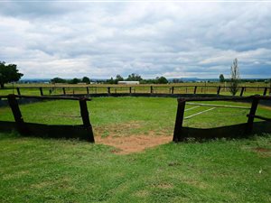 9.8 ha Farm in Wilgeboom AH