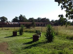 9 ha Farm in Blignautsrus AH