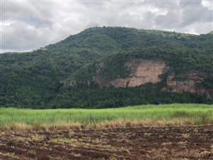 27 ha Farm in Stanger