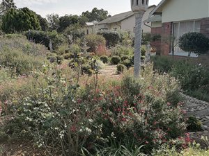 3 Bed House in Ehrlich Park