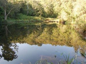 18 ha Land available in Inchanga