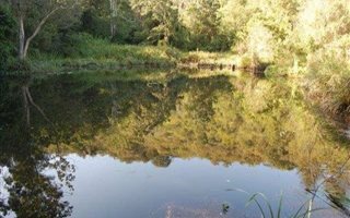 18 ha Land available in Inchanga