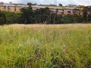 1007 m² Land available in Bishopstowe