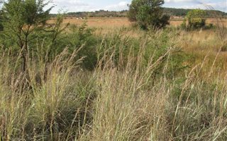 4 ha Land available in Mooiplaats AH