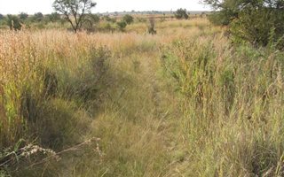 4 ha Land available in Mooiplaats AH
