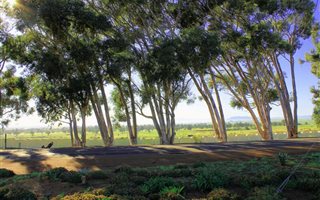 775 m² Land available in Darling