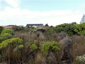 1280 m² Land available in Bettys Bay