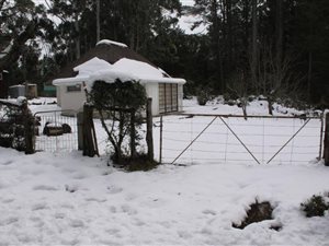 3 Bed House in Hogsback
