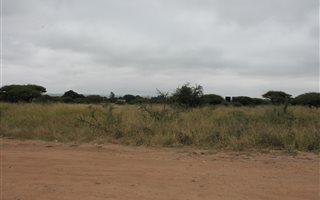 8020 m² Land available in Bendor