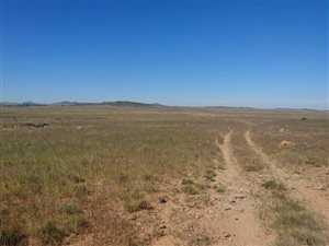 256 ha Farm in Edenburg