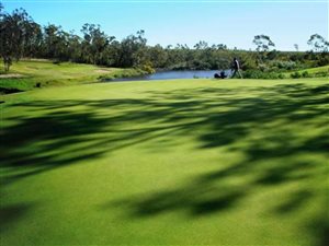 600 m² Land available in Wedgewood Golf Estate
