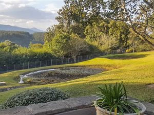 3.2 ha Farm in Rheenendal