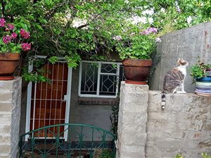 1 Bedroom Garden Cottage in Vlakplaats