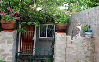 1 Bedroom Garden Cottage in Vlakplaats