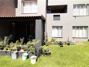 3 Bed Apartment in Northgate