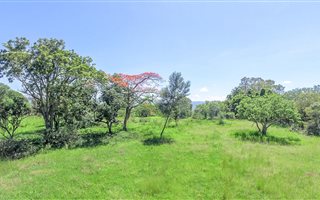 15 ha Land available in Hayfields