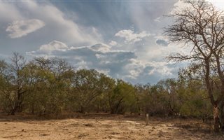 6329 m² Land available in Moditlo Nature Reserve