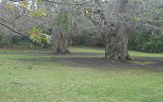 1055 m² Land available in Fernridge