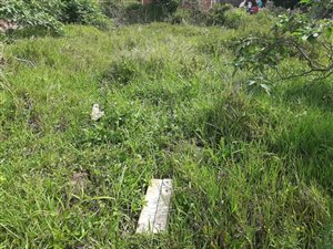 803 m² Land available in Grove End