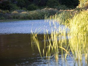 673 ha Farm in Montagu