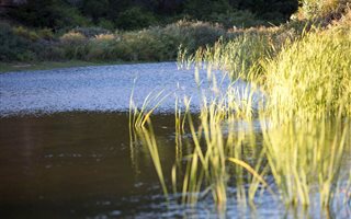 673 ha Farm in Montagu