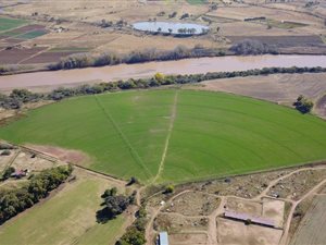926 ha Farm in Aliwal North