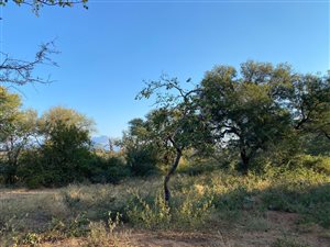 1 ha Land available in Hoedspruit