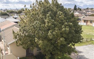 2 Bedroom House in Northpine