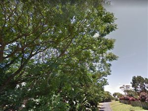 1012 m² Land available in St Michaels on Sea