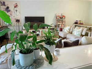 3 Bed Cluster in Woodmead