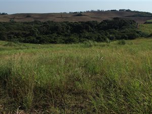 1272 m² Land available in Zululami Luxury Coastal Estate
