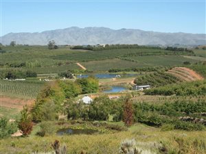 38.5 ha Farm in Elgin