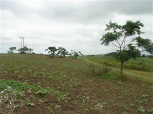 6 ha Land available in Tongaat Central