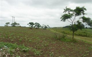 6 ha Land available in Tongaat Central