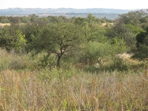 5 ha Land available in Mooiplaats AH