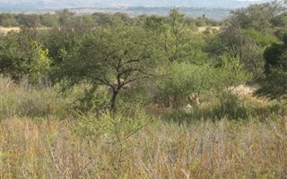 4 ha Land available in Mooiplaats AH