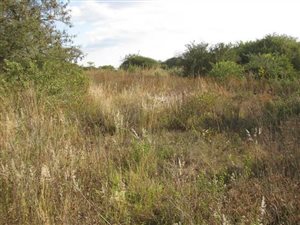5 ha Land available in Mooiplaats AH