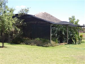 3 ha Farm in Valtaki