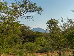 5590 m² Land available in Zandspruit Bush and Aero Estate