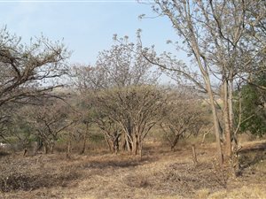 8424 m² Land available in Albert Falls