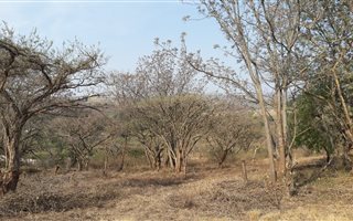 8424 m² Land available in Albert Falls